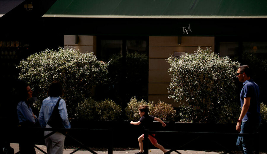 Buissons devant l'Hôtel Tourisme Avenue, hôtel 4 étoiles à Paris 15e
